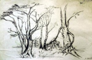 Küstenwald, Fineliner, 1998